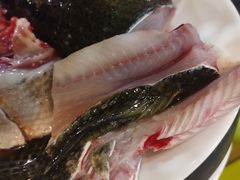 -活鱼馆(宜兴埠店)