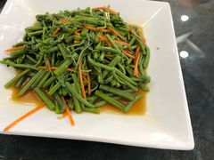 凉拌野山菜-金阁家常菜(贵阳路店)