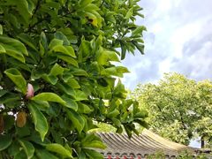 -齐白石旧居纪念馆