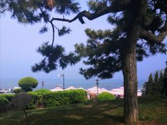 -棒棰岛宾馆景区