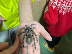 -藦茜花园宠物主题亲子互动体验馆(国顺东路店)