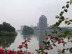 -眉山湿地公园(东坡区)