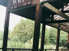 -长广溪湿地公园