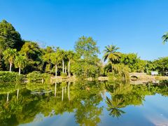 -中国科学院西双版纳热带植物园