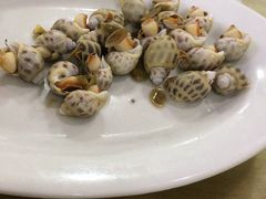 白灼花螺-红海湾豪记海鲜大排档