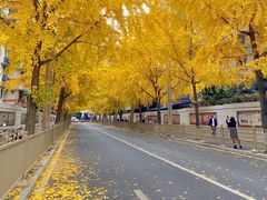 -四川大学(望江校区)