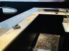 -BLACKSWAN黑天鹅(环球店)