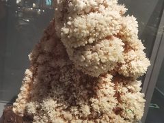 -长江文明馆