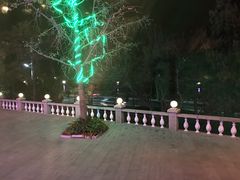 -青岛海景花园大酒店·白果树餐厅青岛菜