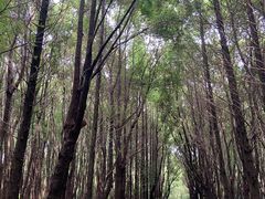 -同里国家湿地公园