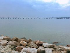 -宝安西湾红树林湿地公园