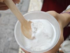 -洪馨椰子