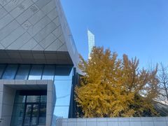 -张氏父子常德肠子馆(湘江世纪城直营店)