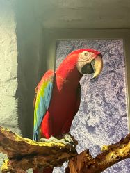 -Zoolung Zoolung动物主题公园(海信广场店)