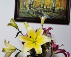 -Oasis Beauty水磨坊科技美肤中心