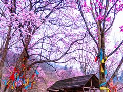 -九皇山景区