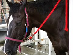 -金庭庄园酒店-停车场