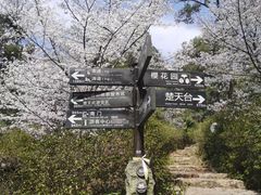 -神光山国家森林公园