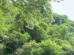 -宁波五龙潭景区