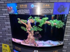 -海合安成都极地海洋公园