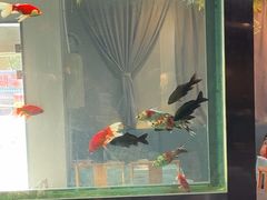 -阳光院坝小龙虾(红牌楼店)