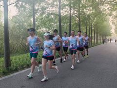 -昆山城市生态森林公园