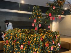 -春晖园度假酒店温泉