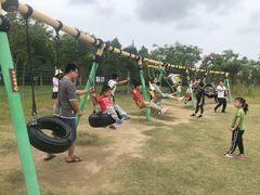 -上海长兴岛郊野公园