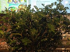 -牛啤堂精酿啤酒餐吧(五棵松华熙店)