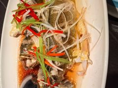 -前海沿·青岛菜(大拇指广场石老人店)