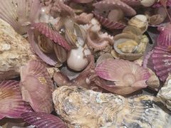 -大锅强·蒸海鲜青岛菜(吾悦广场店)