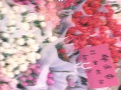 -循礼门鲜花花市(武汉循礼门店)