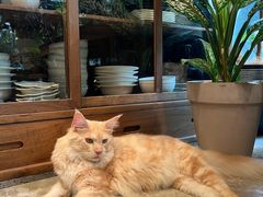 -自由生长植物工作室(深港花卉中心店)