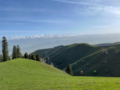 -新疆那拉提国家旅游度假区
