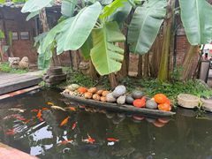 -德云居