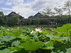 -惠州西湖丰渚园