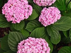 -常州古运河南大街文化旅游区-人民公园