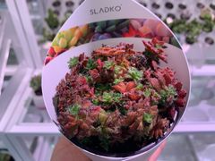 -KKV(深圳宏发大仟里店)