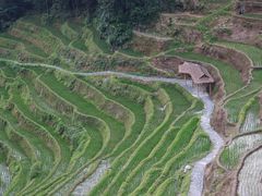 -紫鹊界梯田景区
