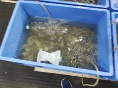 -象山小白象海鲜面