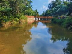 -广州白江湖森林公园