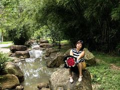-火炉山森林公园