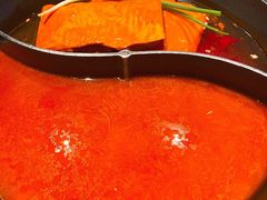 -园里火锅(仁和新城店)