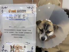-达爱动物医院·犬猫分区·CT·复杂眼科(远洋山水分院)