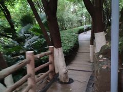 -百林公园-两江幸福广场