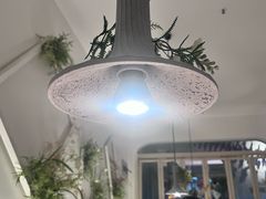 -春树下·树屋花房西餐厅(罍街AS1980店)