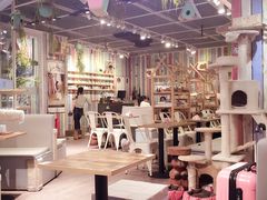 大堂-小时光咖啡馆(开森度假森林店)