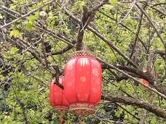 -广州市白云山风景名胜区