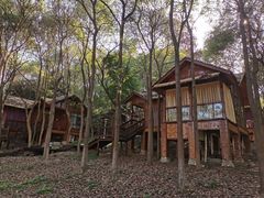 -洪湖悦兮半岛国际温泉度假村