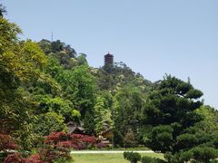 -缙云山景区